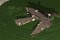 golf19_02_t.jpg