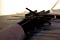 tram_17_t.jpg